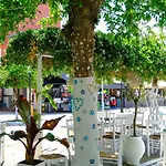 Hotel Cocoon Hotel-beach Bar