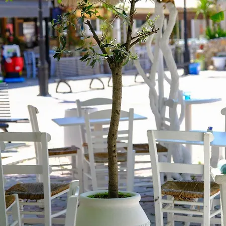 Hotel Cocoon Hotel-beach Bar