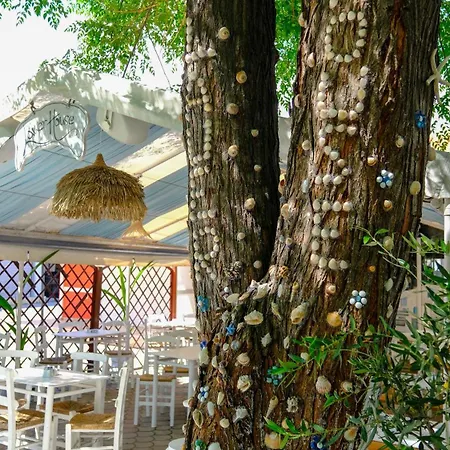 Cocoon Hotel-beach Bar Otel Sarti