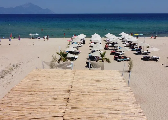 Hotel Cocoon Hotel-beach Bar