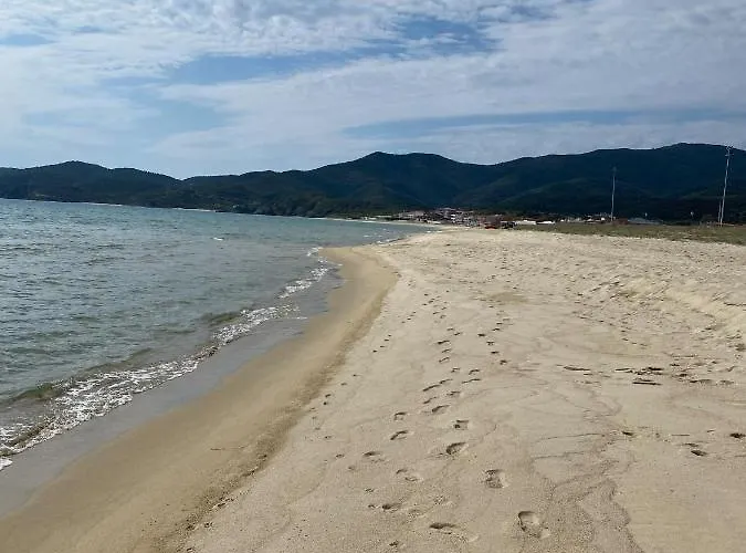 Cocoon Hotel-beach Bar * Sarti