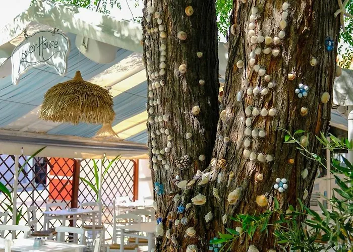 Cocoon Hotel-beach Bar Отель Сарти